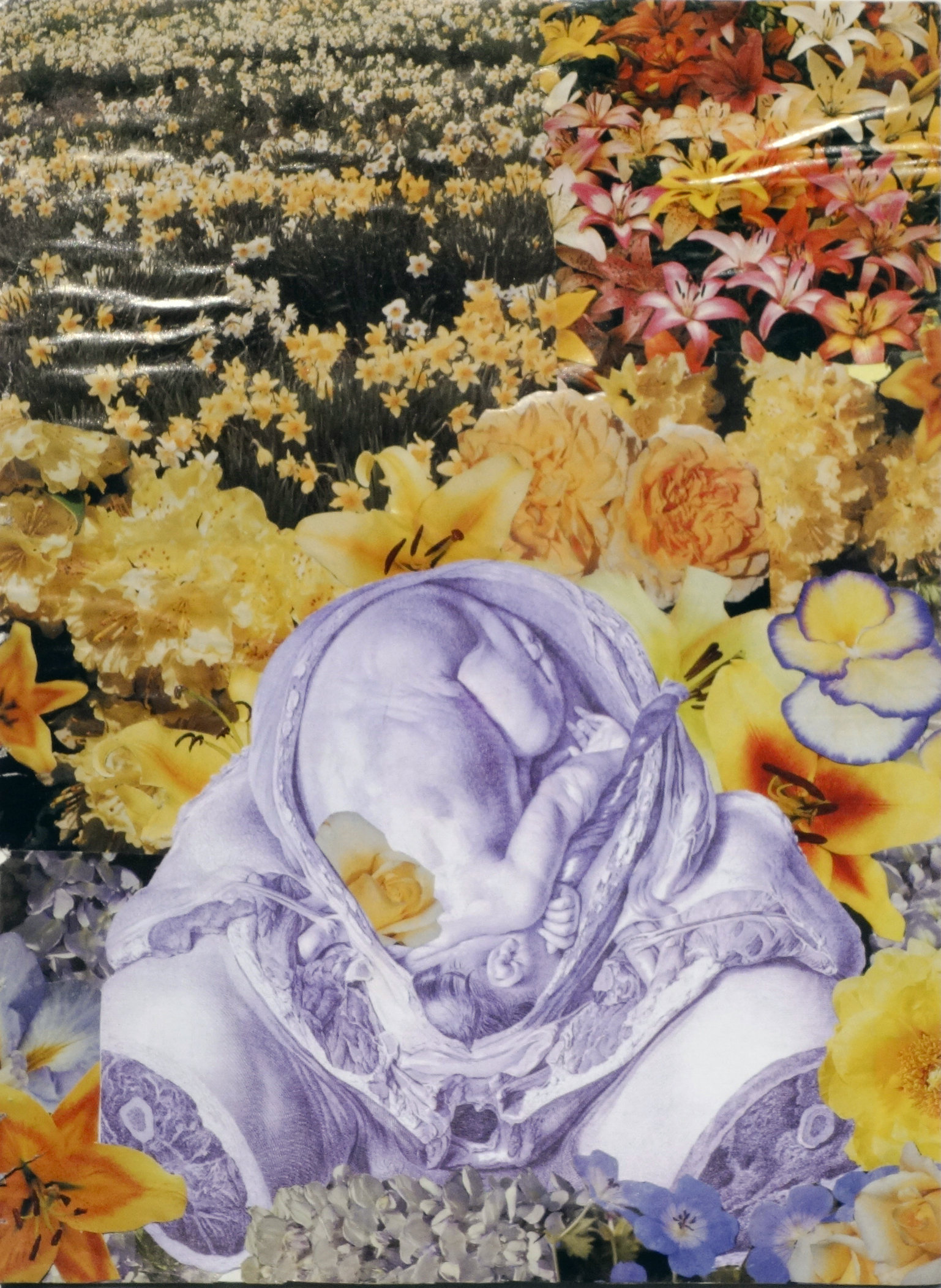 collage by annabel roberts-mcmichael