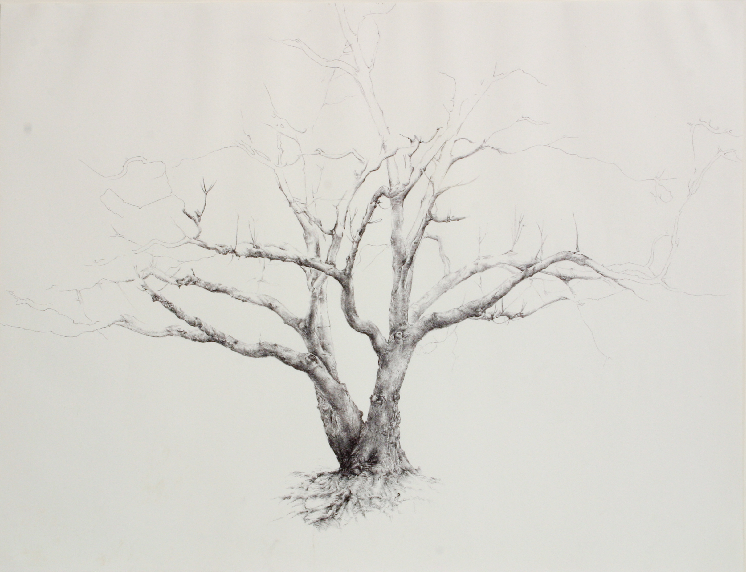 05_tree