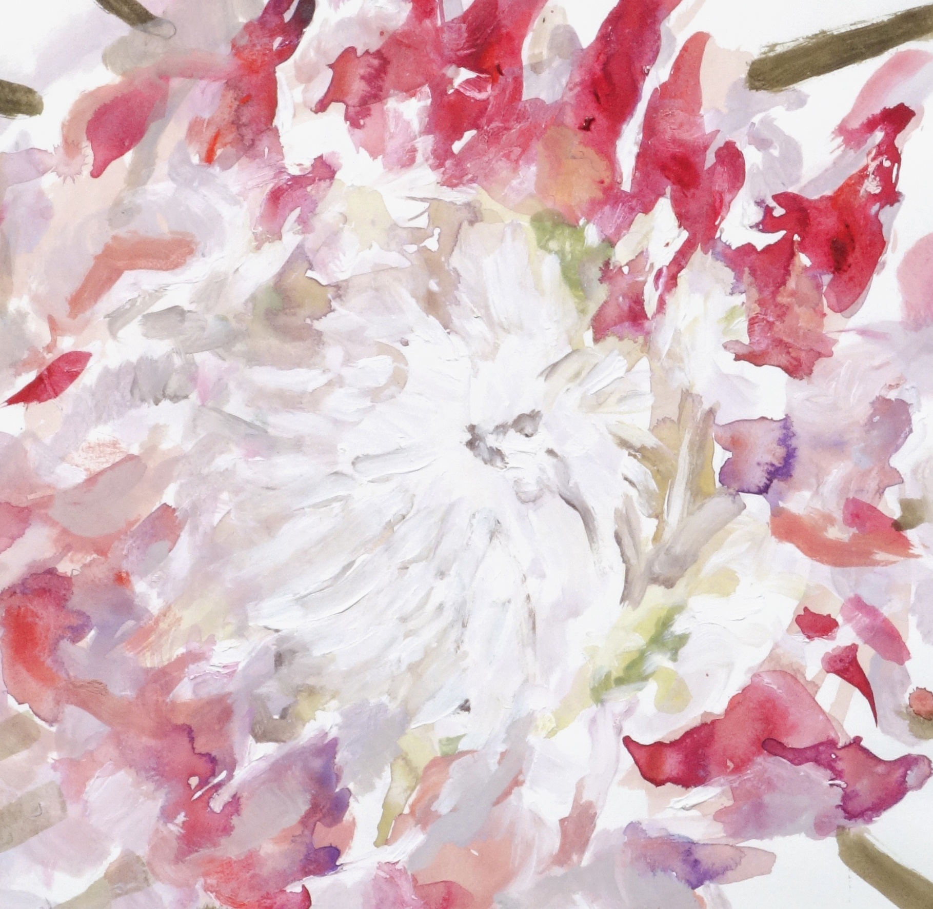 08_southafricanflower_final