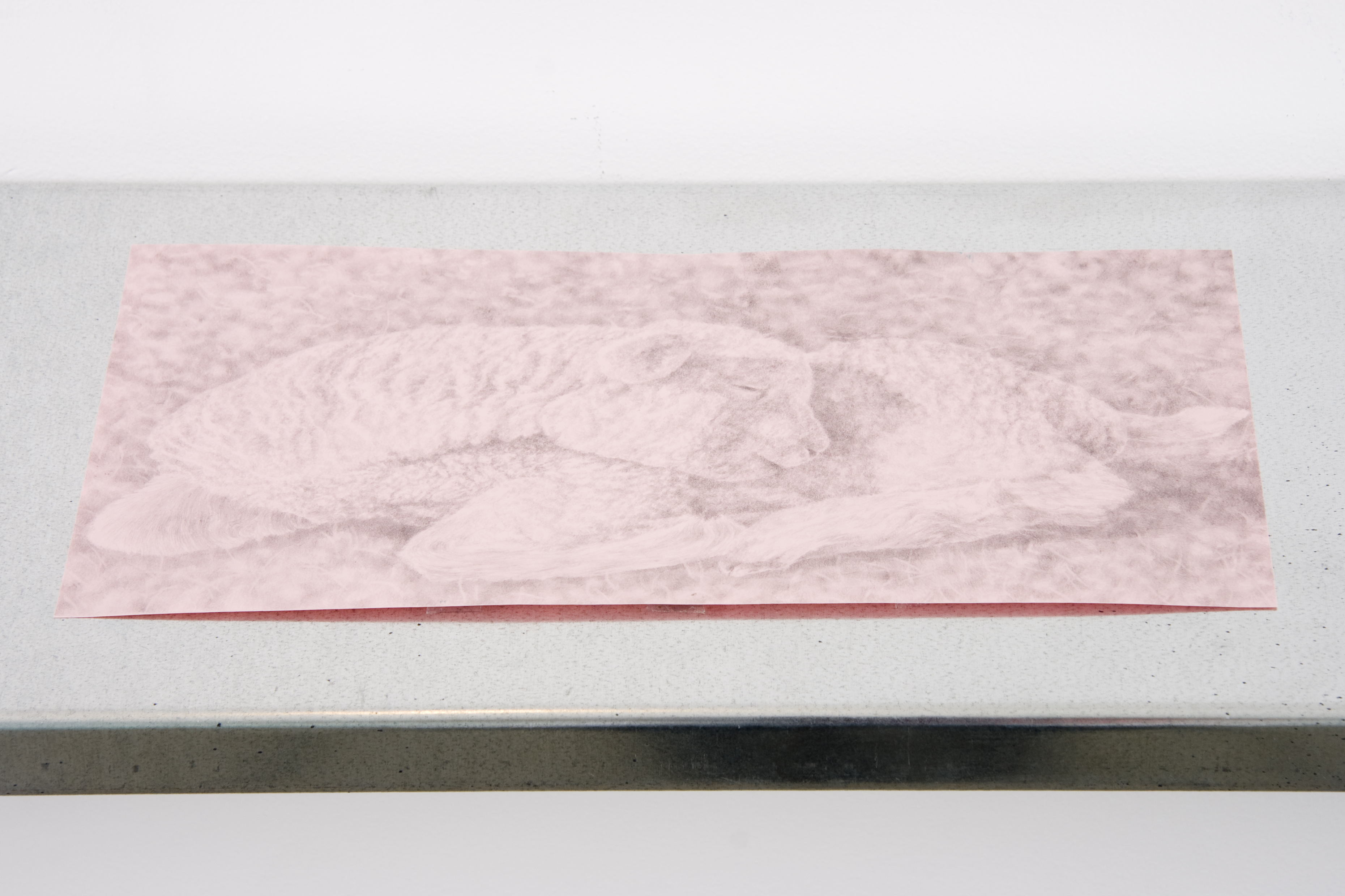 10_goingund_sweetnlowclose