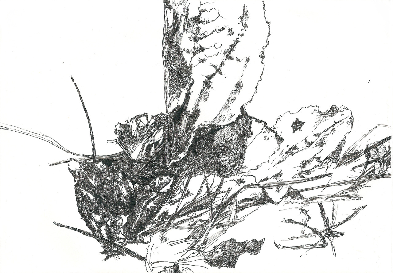 12_sundaydrawtumblr_m5gxu1h1ml1rwrxmoo1_1280