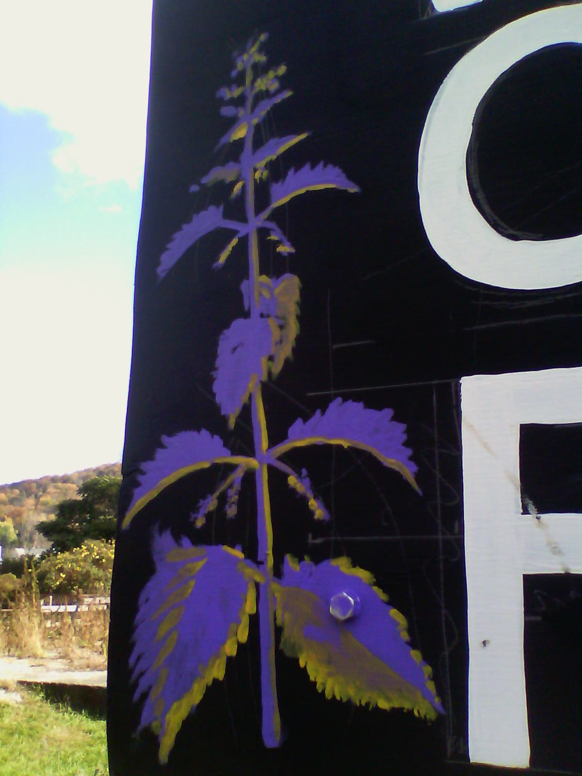 Wassaic Community Farm sign, nettle by annabel roberts-mcmichael