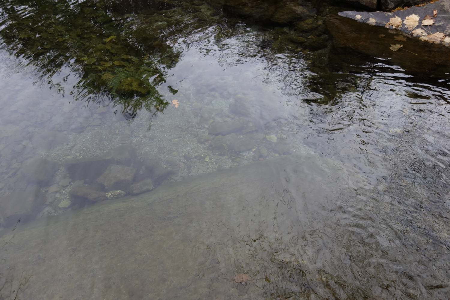 photograph by annabel roberts-mcmichael