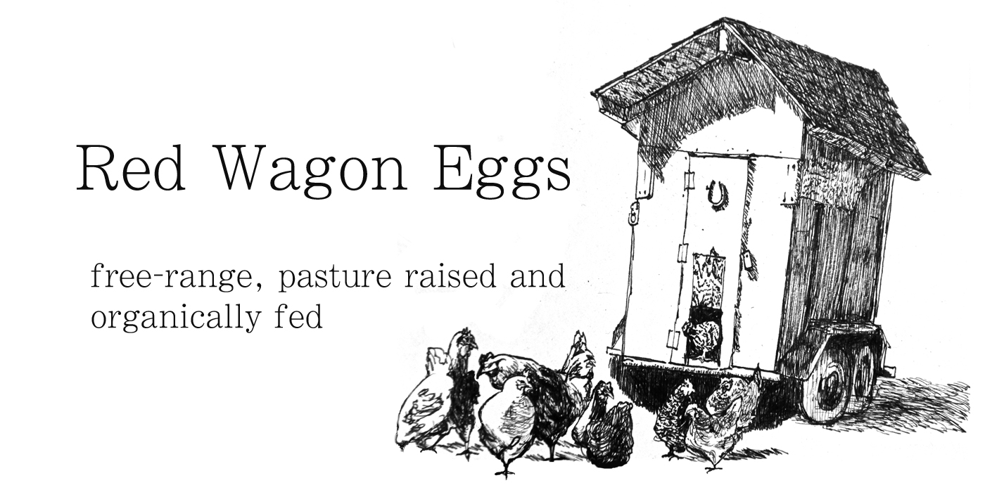 Red Wagon Eggs label by annabel roberts-mcmichael