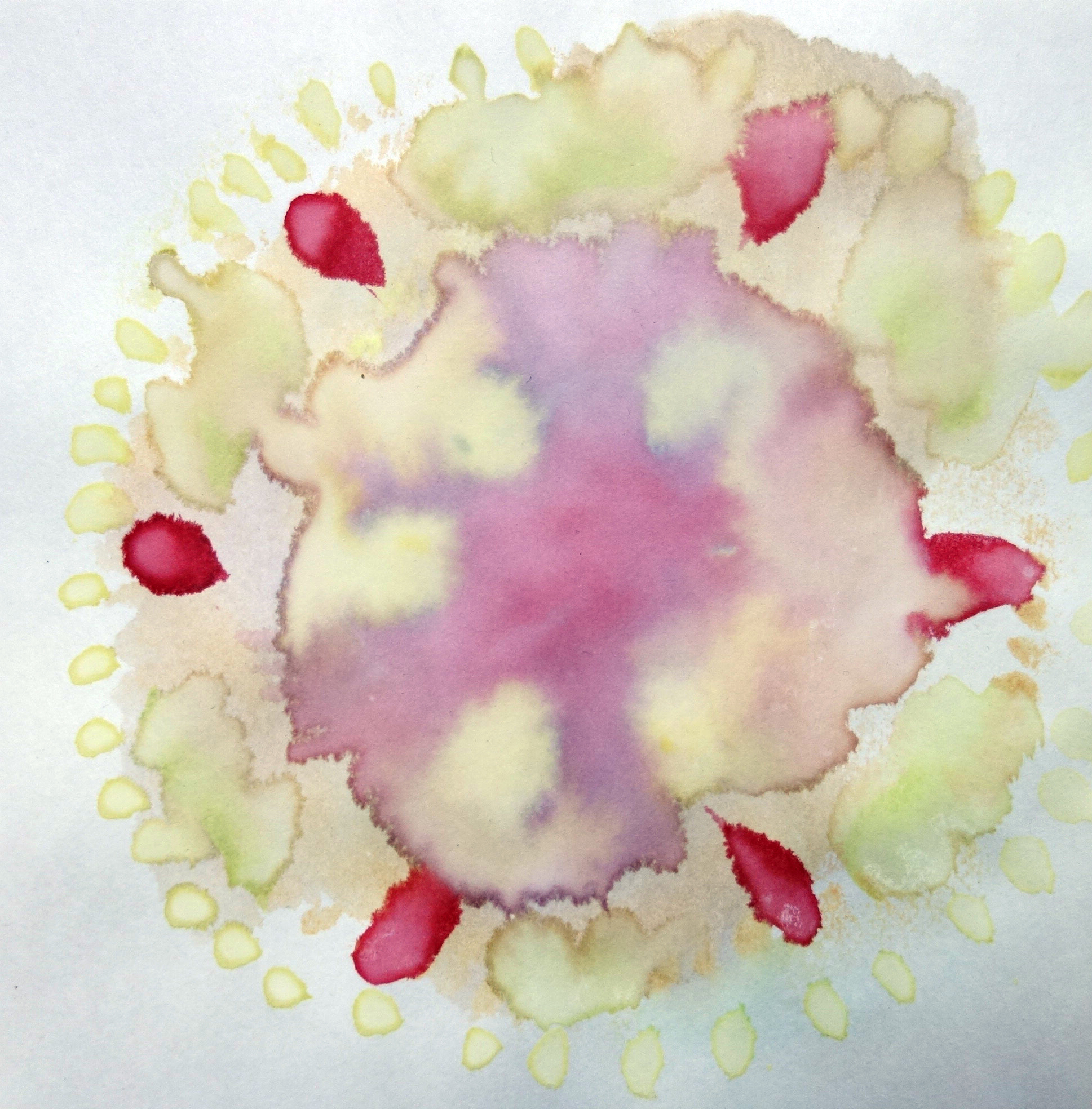 watercolor by annabel roberts-mcmichael