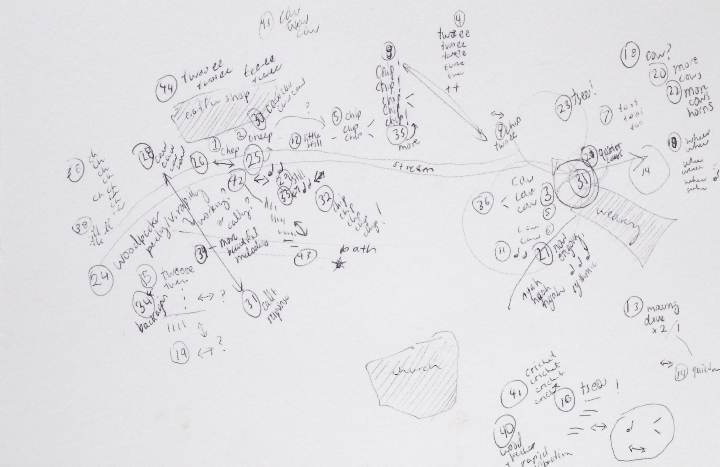 Bird sit drawing by annabel roberts-mcmichael