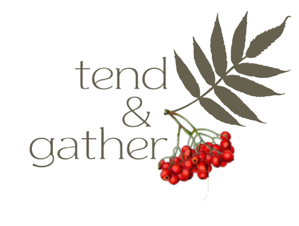 tend and gather logo with rowan tree leaf and fruit